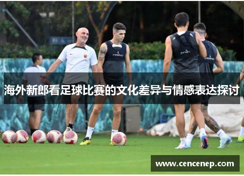 海外新郎看足球比赛的文化差异与情感表达探讨