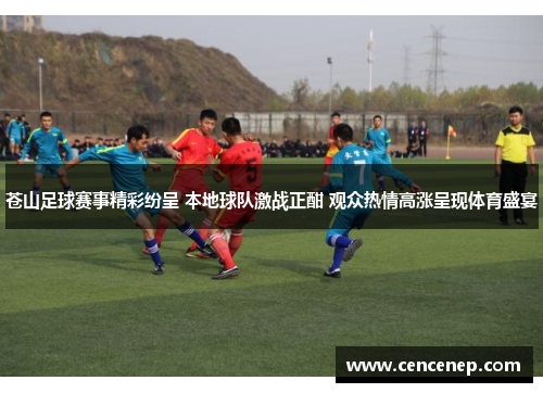 苍山足球赛事精彩纷呈 本地球队激战正酣 观众热情高涨呈现体育盛宴